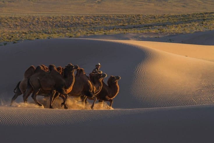 Gobi Desert Classic